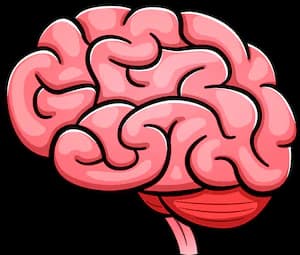 Memory Matcher logo