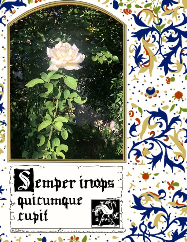 illuminated manuscript