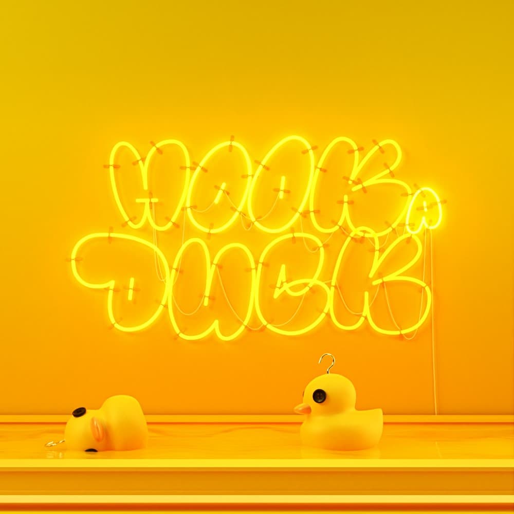 Hook a duck #2
