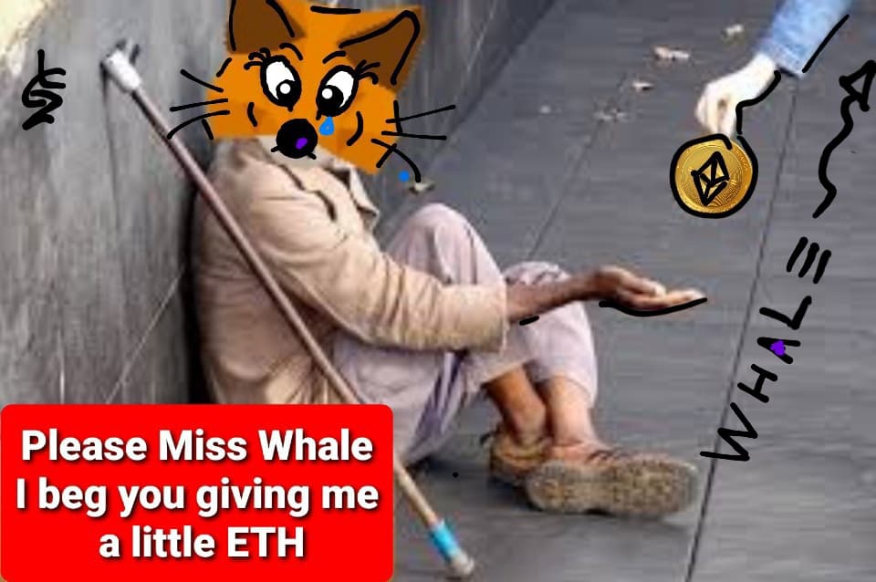 ETH BEGGAR ! "PLEASE MISS WHALE"