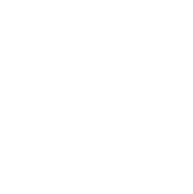 Etherscan block explorer logo